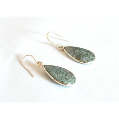 Silver earrings with Horse Canyon moss agate