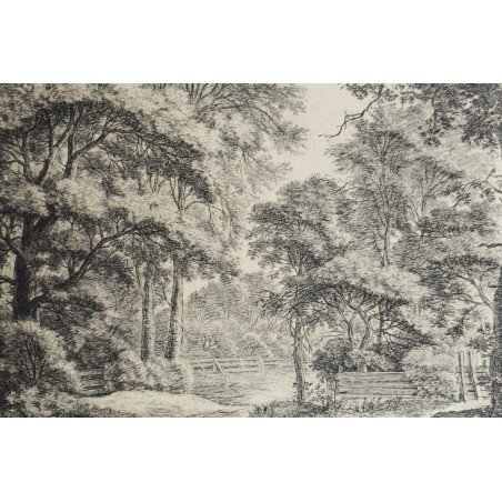 Antonie Waterlo "Peisaj" gravura veche sec 18-19