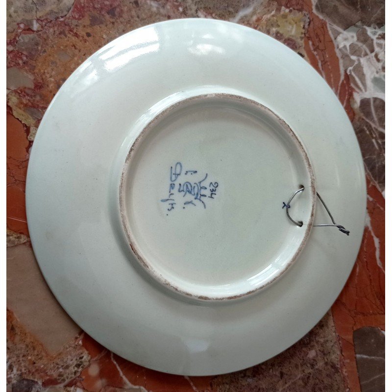 Delft plate