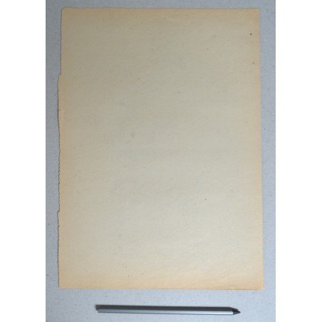 Ion Grigore "Nude" drawing