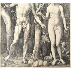 Albrecht Durer "Adam si Eva" gravura veche sec 19