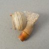Veche pipa spuma de mare cap de barbat cu turban sec 19