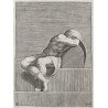 Adamo Scultori "Figura din Capela Sixtina" gravura veche 1547-1587