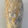 Hippurites sp. fosila din Cretacic (Turonian)
