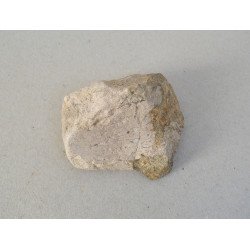 Dinosaur bone, Cretaceous