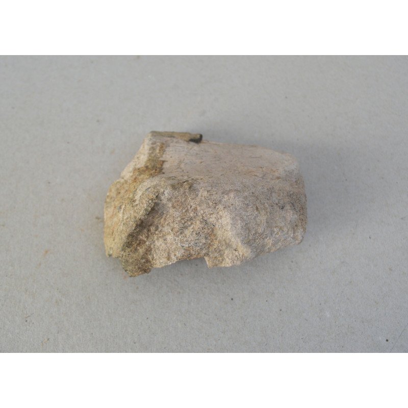 Dinosaur bone, Cretaceous