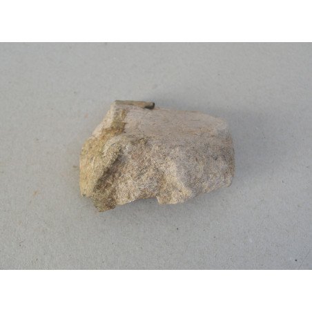 Dinosaur bone, Cretaceous