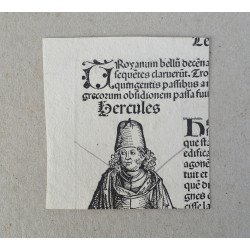 Michel Wolgemut decupaj din "Cronica din Nuremberg" xilogravura 1493