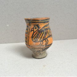 Cupa Valea Indusului...