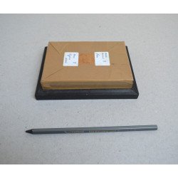 Anaea ryphea, Anaea nessus fluturi in caseton taxidermie