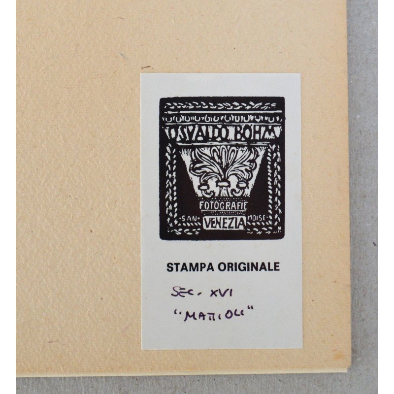 John Gerard "Capparis folio acuto" woodcut, 1597