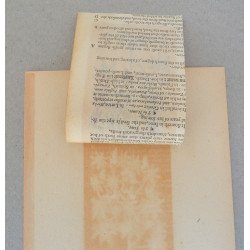 John Gerard "Ricinus" xilogravura 1597