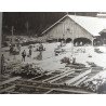"Ferestreul Piatra Corbului" fotografie cca 1930