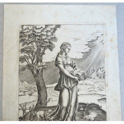 Agostino Veneziano "Sibila cumeană" gravura 1516