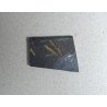Didymograptus murchisoni graptoliti din Ordovician Tara Galilor Marea Britanie