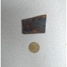Didymograptus murchisoni graptoliti din Ordovician Tara Galilor Marea Britanie