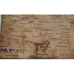 Carte poștală pe scoarță de mesteacăn, lagăr militar, 1944