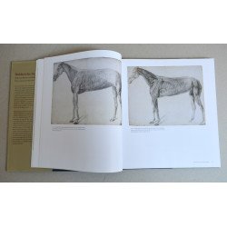 Malcolm Warner, Robin Blake "Stubbs & the Horse" Yale University Press 2004