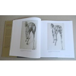 Malcolm Warner, Robin Blake "Stubbs & the Horse" Yale University Press 2004