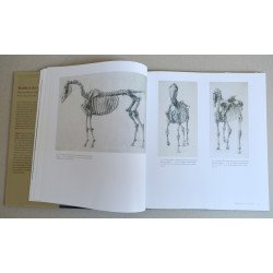 Malcolm Warner, Robin Blake "Stubbs & the Horse" Yale University Press 2004