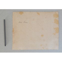 Atelier Proch fotografie veche Transilvania cca 1900-1910
