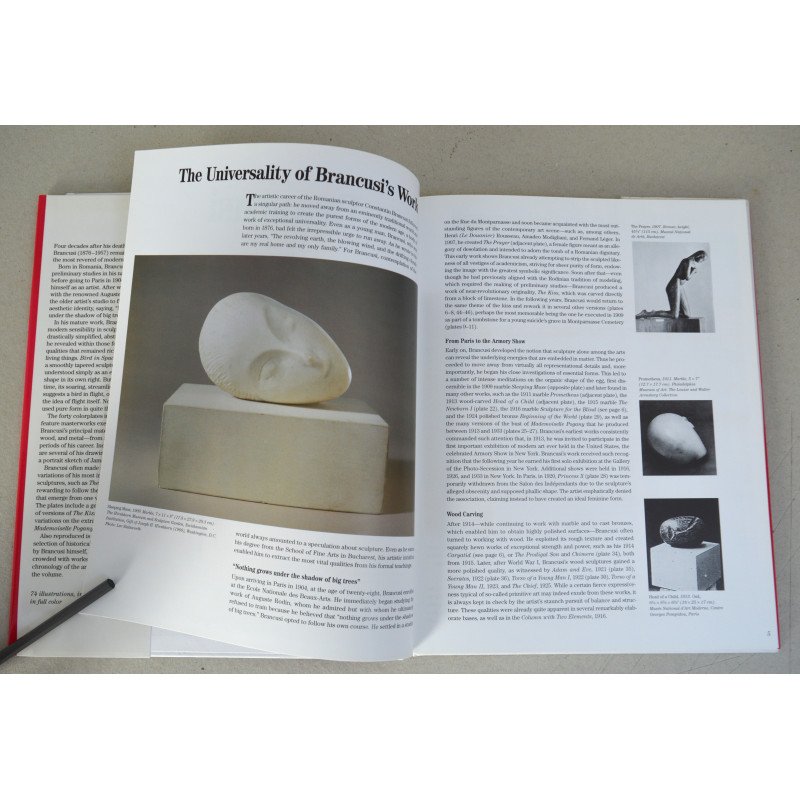 Jose Maria Faerna "Brancusi" Cameo/Abrams 1997