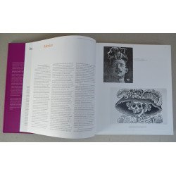 Edward Sullivan "Latin American Art In The Twentieth Century " Phaidon Press limited 1996