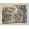 Antonie Waterloo "Peisaj cu arbori" gravura veche