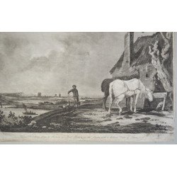 Paul Potter "Cai adapandu-se" acvatinta 1805