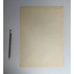 Ovidiu Marciuc "Nud de barbat" desen in tus