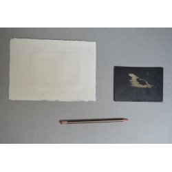 Gravura si placa sa de zinc anii 1970-1980