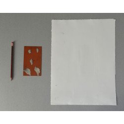 Gravura si placa sa de zinc anii 1970-1980