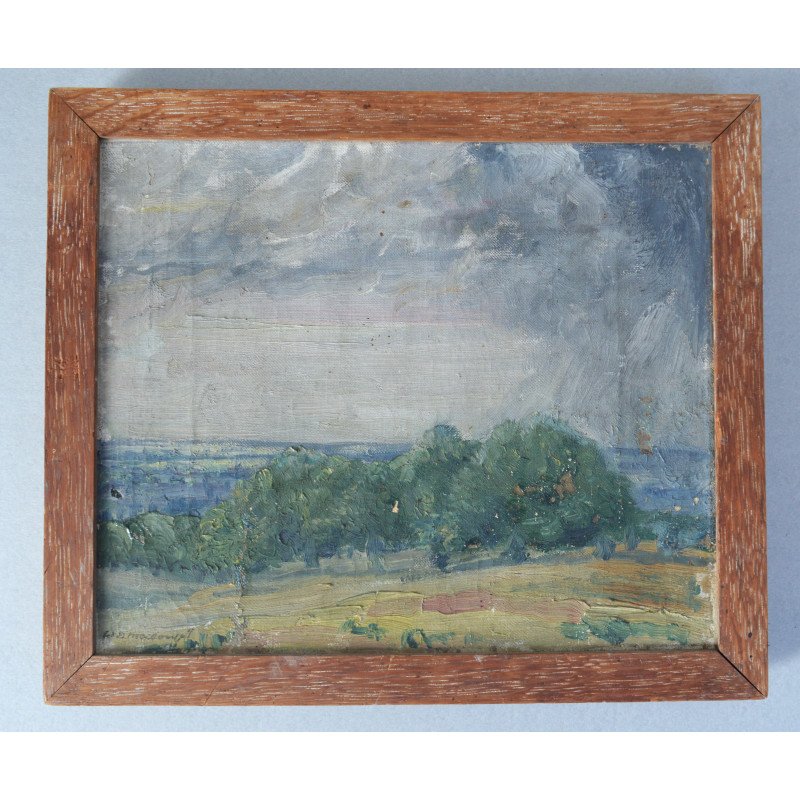 "Essex landscape" pictura pe panza