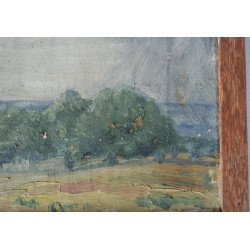 "Essex landscape" pictura pe panza