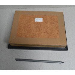 Acrocinus longimanus Peru