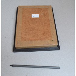 "Heterometrus spinifer" scorpion Thailanda