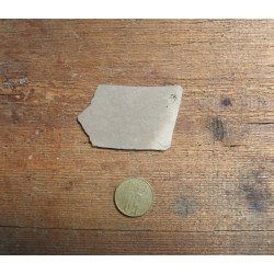 Peste fosil Oligocen