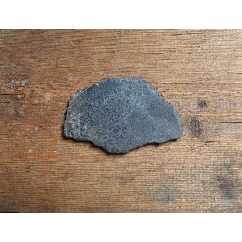 Os de dinozaur (sectiune) Cretacic