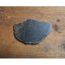 Dinosaur bone (section), Cretaceous 2
