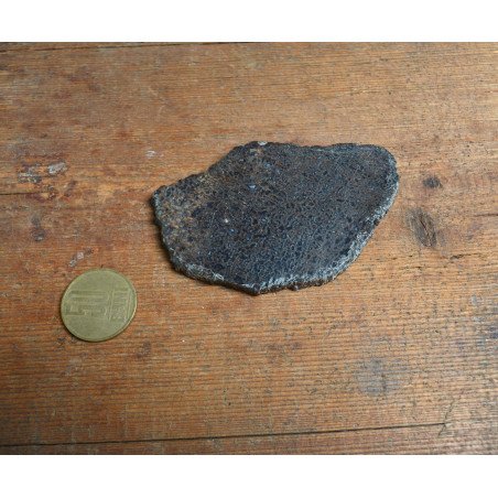 Dinosaur bone (section), Cretaceous