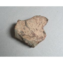 Dinosaur bone, Cretaceous