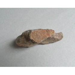 Dinosaur bone, Cretaceous 2