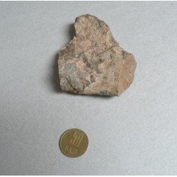 Os de dinozaur Cretacic