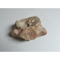 Os de dinozaur Cretacic