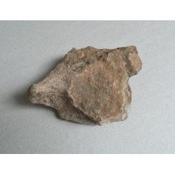 Os de dinozaur Cretacic