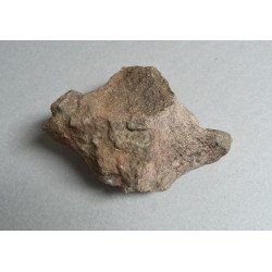 Os de dinozaur Cretacic