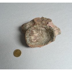 Os de dinozaur Cretacic