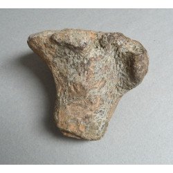 Os de dinozaur Cretacic