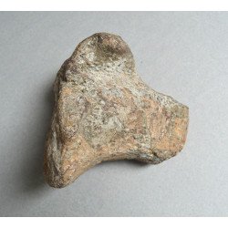 Os de dinozaur Cretacic