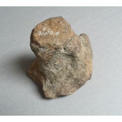 Os de dinozaur Cretacic